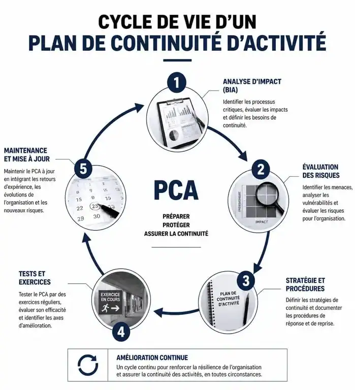 Schéma du cycle de vie d'un plan de continuité d'activité (PCA) pour les entreprises